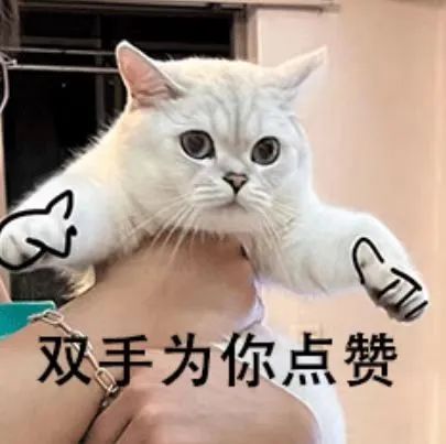 卓越品質(zhì)的底氣:臺(tái)群精機(jī)T-V857S超嚴(yán)檢測(cè)揭秘 卓越品質(zhì)的底氣:臺(tái)群精機(jī)T-V857S超嚴(yán)檢測(cè)揭秘